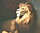 Animal and the others paintings
