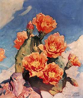 arizona_14