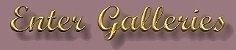 Enter Galleries